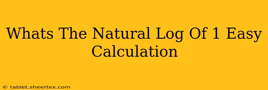 Whats The Natural Log Of 1 Easy Calculation